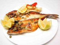 /album/fotogaleria-inicio/meson-alberca-dorada-jpg/